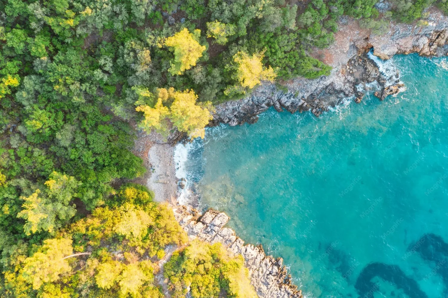 Marmaris Boncuk Koyu çevresinde orman ve deniz dokusu